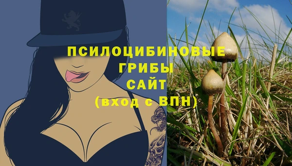 гидра Алзамай